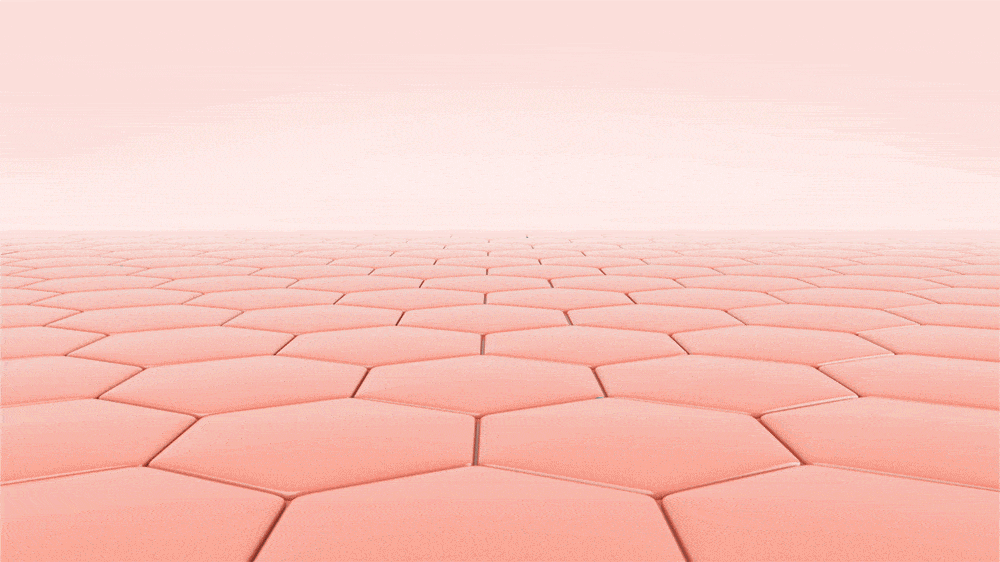 05.gif