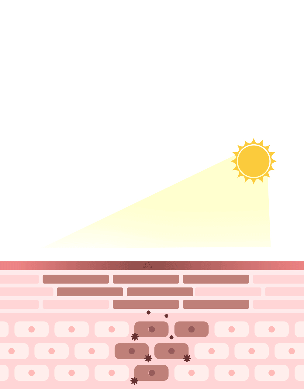 29_gif.gif