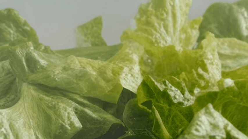 clipfresh_01_04.gif