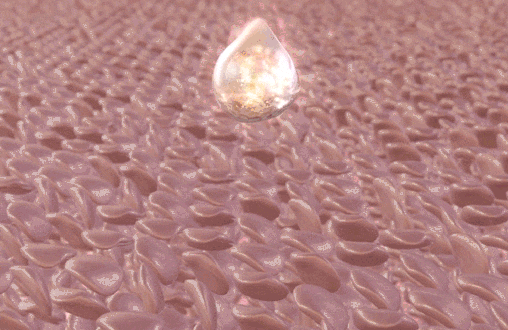 2.gif