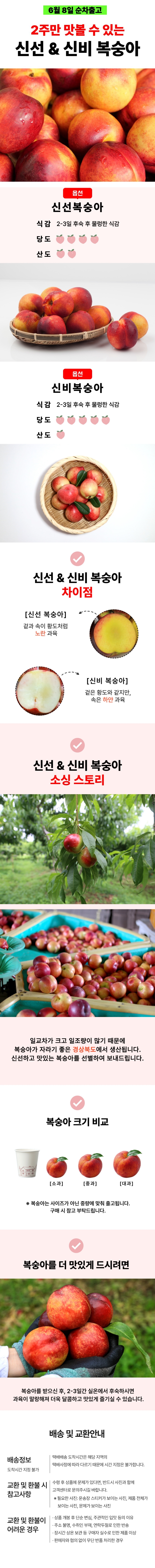 신선신비.jpg