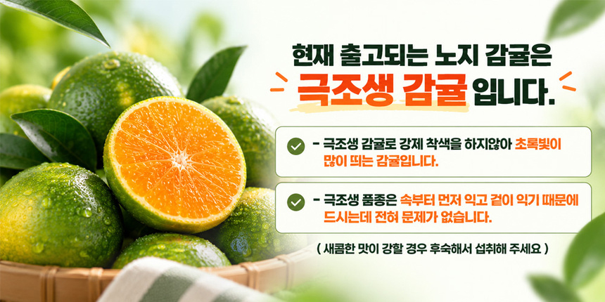 감귤_배너.jpg