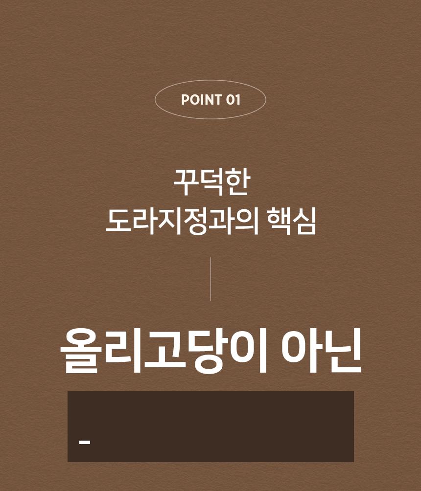 point-01-01.gif