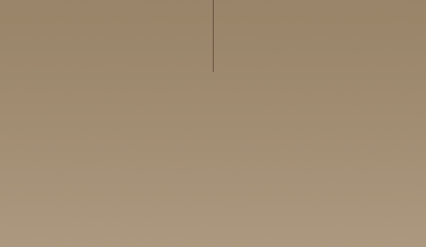 14.gif